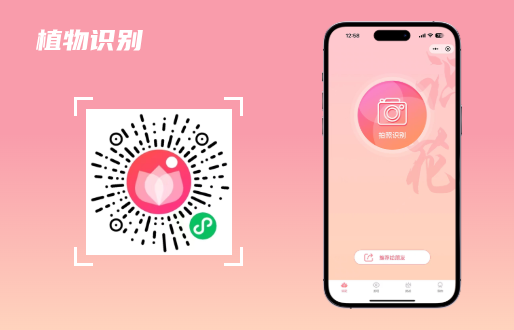 植物识别小程序